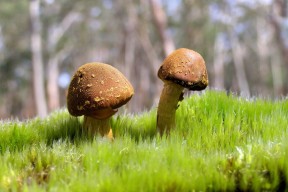世界拳击职业联赛赛季后裁判培训与认证常态化项目全国推广评估发布